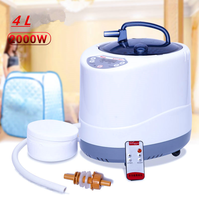증기 발생기 220V/110V EU 미국 플러그 200 - Home Bathroom Sauna 리뷰 및 가격